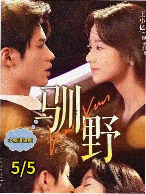 鹤唳华亭外传 剧集海报